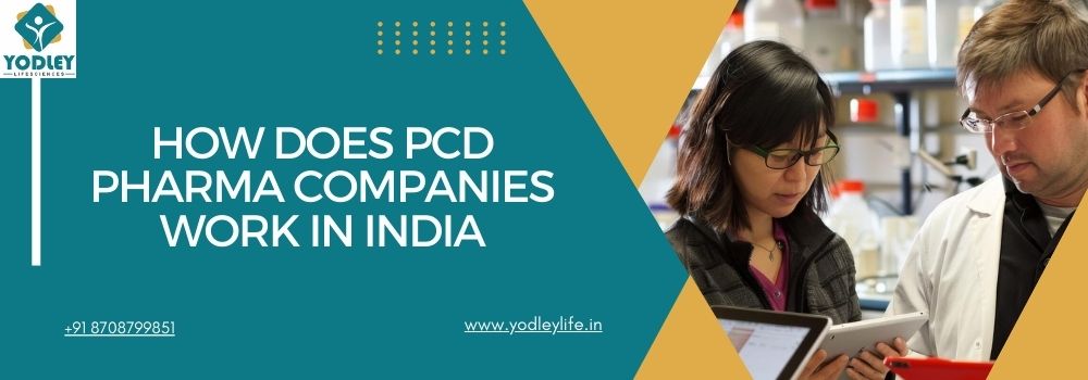 How Does PCD Pharma Companies Work In India