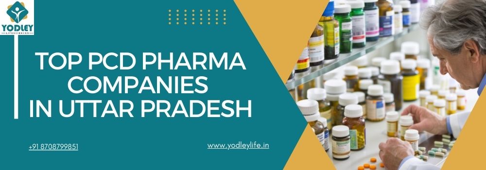 Top PCD Pharma Companies in Uttar Pradesh