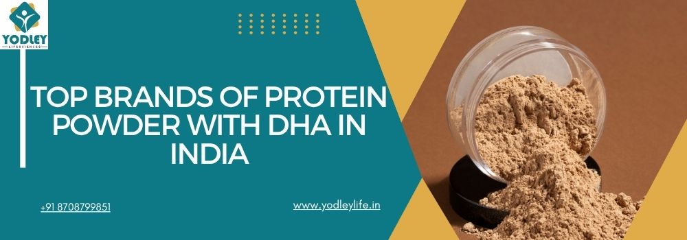 Top Brands of Protein Powder with DHA in India